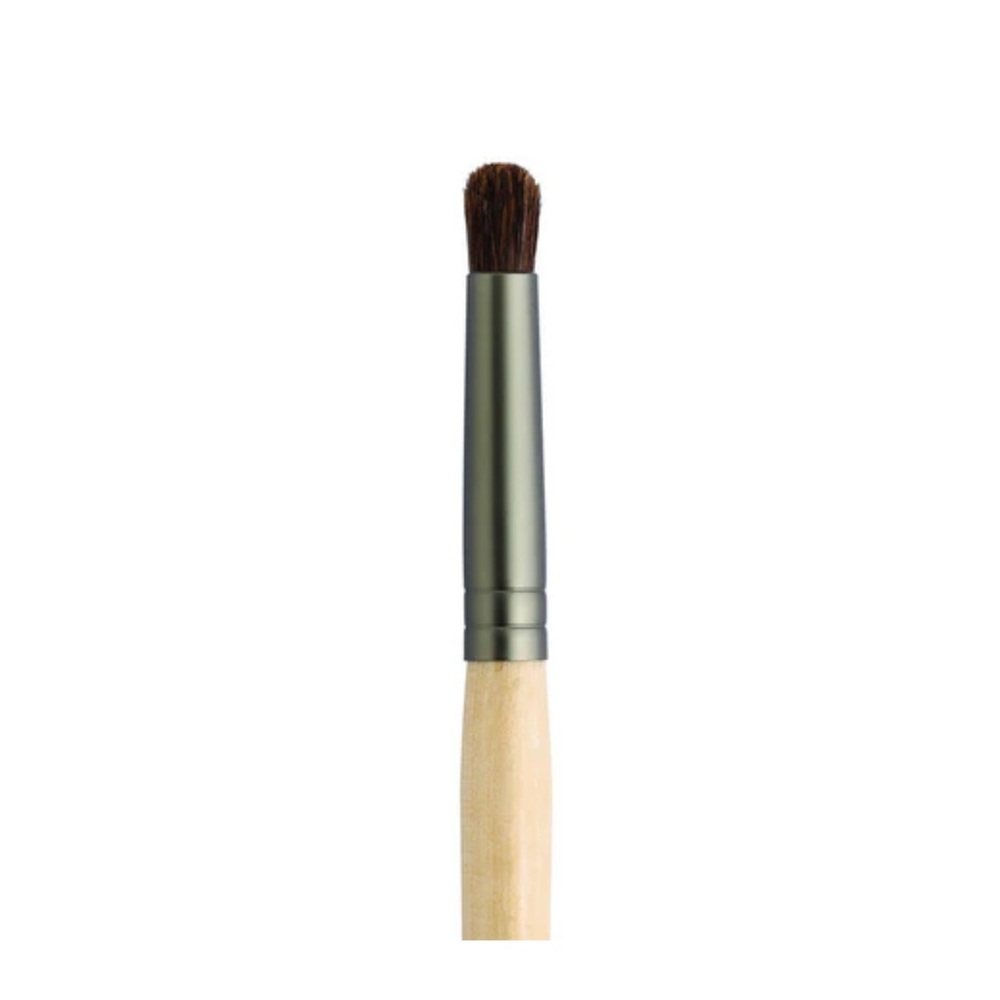Mini dome brush